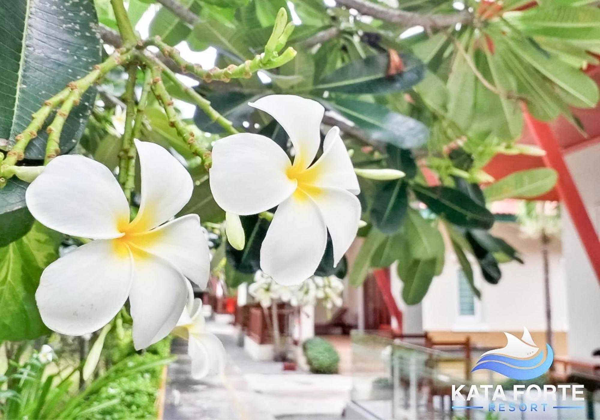 Kata Forte Resort Eksteriør bilde